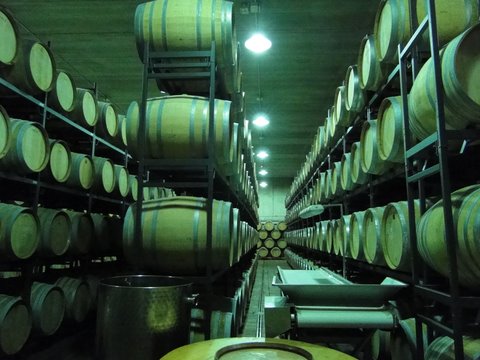 Bodega Bodega